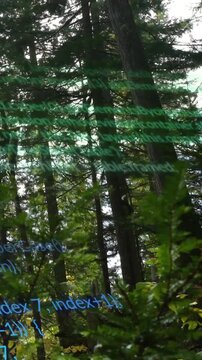 Vertical video: Conifer trunks holding while green-blue code appearing, scrolling, showing data