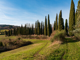 Italia, Toscana, Arezzo, la campagna di Stia. © gimsan