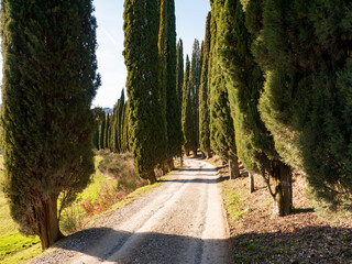 Italia, Toscana, Arezzo, la campagna di Stia. © gimsan