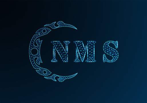 Low poly letter logo NMS design. NMS letter logo low poly vector design on blue color gradient background. NMS logo low poly design