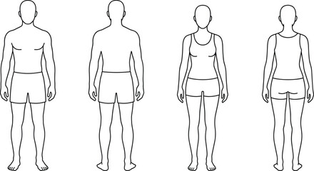 Detailed human anatomy circulatory and digestive system diagrams, male and female body silhouettes, and modern city skyscraper skyline vector illustrations.