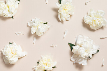 A creative floral pattern featuring scattered white peony flowers and loose petals on a pastel beige background. Romantic flat lay perfect for wallpapers, wrapping paper designs, or wedding backdrops. © magic_cinema