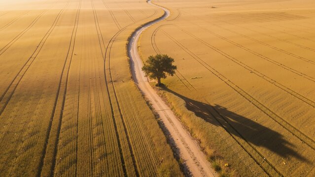 Winding Path Images – Browse 947,836 Stock Photos, Vectors, and Video ...