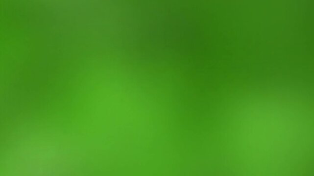 A seamless looping background featuring soft, out-of-focus green colors, resembling natural foliage. This calming and serene backdrop is perfect for various design projects or as an overlay.