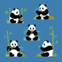 Cute Panda Bears Eating Bamboo