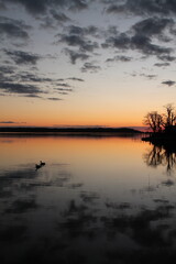 Fototapeta premium Silhouette Two Ducks at Sunset, Stony Brook NY