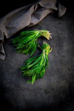 Wild garlic bunches on black concrete with copy space