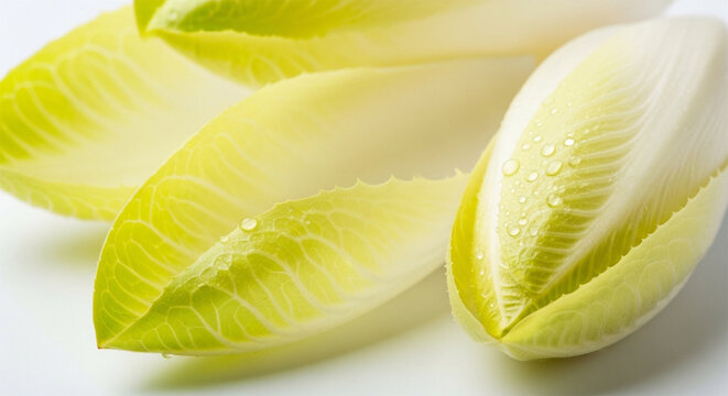 Fresh endive leaves on white background for healthy eating