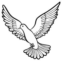 Soaring bird drawing in flight, illustration of peace and freedom, isolated on white