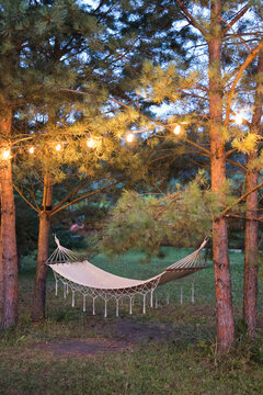 Cozy hammock under string lights in forested camp setting at evening