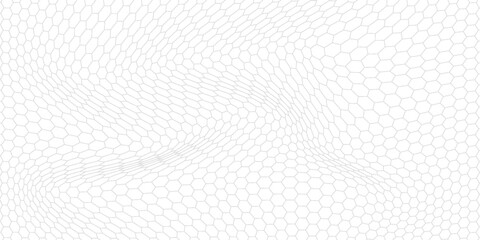 Fishing or soccer net. Repeated hexagon pattern. Black wired mesh texture isolated on white background. © Hendra