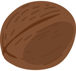 The brown, peeled coconut is a tropical fruit.