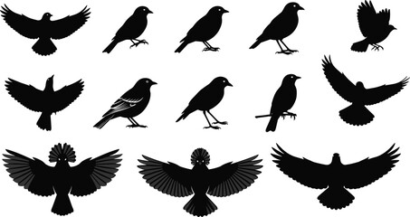 Obraz premium Large set of diverse human silhouettes and person icons in solid black and outline styles for architectural visualization user personas and digital interface graphics