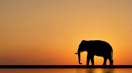 Fototapeta premium Thai elephant in tropical forest at golden sunset