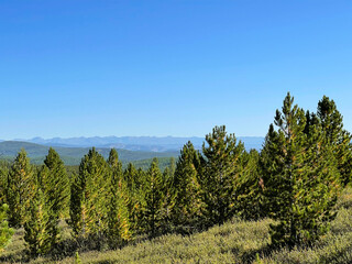 Beautiful landscape in the Altai mountains, Russia