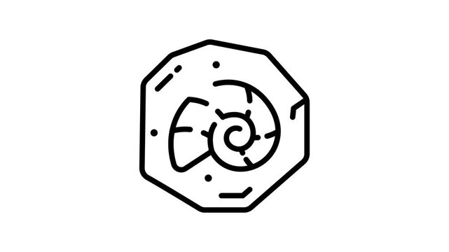 A modern linear animated icon of spiral-shaped fossil