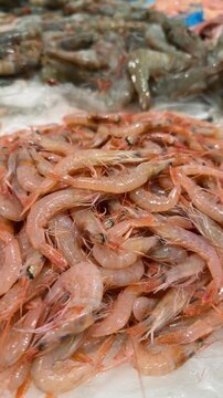 Restaurant supplier inspecting bulk shrimp boxes for order