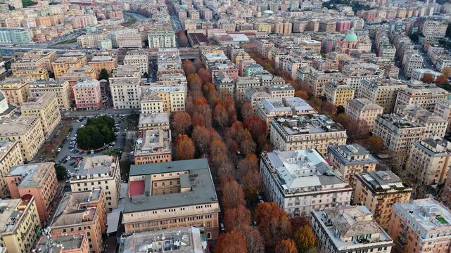 Aerial view of Genova city center with autumn trees and urban layout