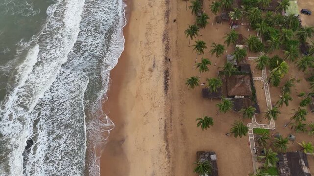 Cinematic bird's-eye drone shot capturing the meeting point of turquoise ocean waves and a golden tropical beach lined with trees in Lome, Togo, West Africa. Stunning aerial view