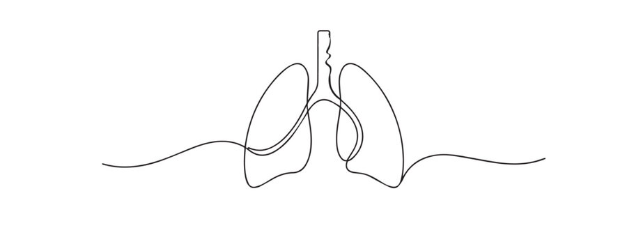 Single line drawing lungs.continuous line drawing of human lungs anatomy.respiratory system concept.medical one line vector illustration