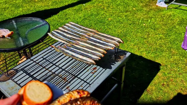 Sunny Outdoor Picnic Plate of Charred Eel Onions Bread Close Camera Shot