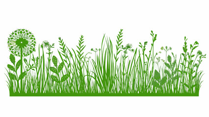A vibrant green illustration depicting a variety of wildflowers and grasses © Indira