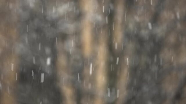 Snow falling in New York City