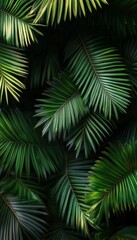 Stunning Macro Photography of Lush Palm Leaves and Dense Tropical Foliage in Vertical Composition