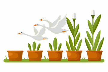 Cartoon illustration of flying geese over potted plants in a garden © MihirKumarMondal