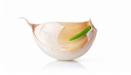 Close-up of a single garlic clove with a green sprout on white