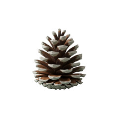 Pine cone isolated On Transparent Background