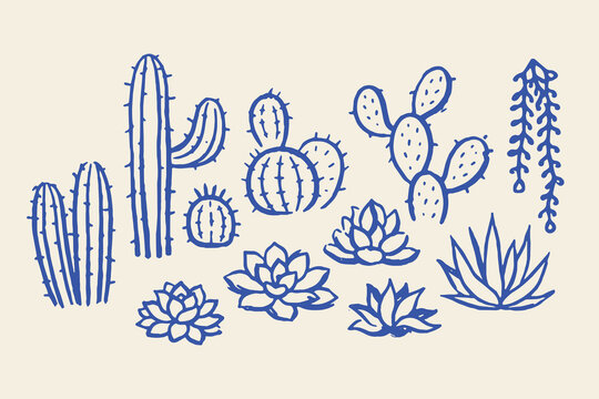 Cactus and succulents doodle set vector illustration