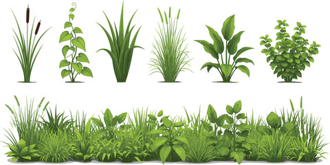 Flat Vector Green Foliage and Grass Set with Garden Plants Reeds and Ivy Vines for Landscape Design Outdoor Nature Backgrounds and Botanical Illustrations © Roni