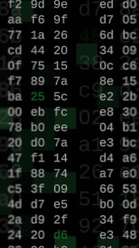 close up view of hexadecimal code scrolling on screen, concept of hacking, internet, big data, software developing, vertical video (3d render)