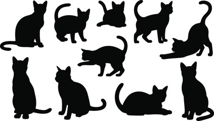 Collection of Black Cat Silhouettes in Different Poses on White Background feline animal © MdAbdur