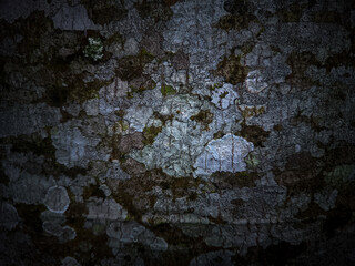 old wood background texture illustration