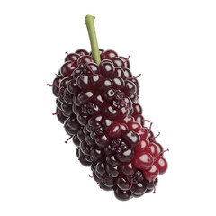 Fresh Ripe Blackberries and Mulberries Isolated on White &ndash; Juicy Berry Fruit Closeup