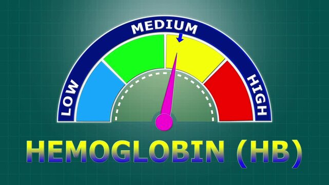 4K Animated Hemoglobin (Hb) Level Meter Increasing from Low to High Levels , Monitoring Oxygen Transport and Anemia Risk.