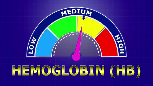 4K Animated Hemoglobin (Hb) Level Meter Increasing from Low to High Levels , Monitoring Oxygen Transport and Anemia Risk.