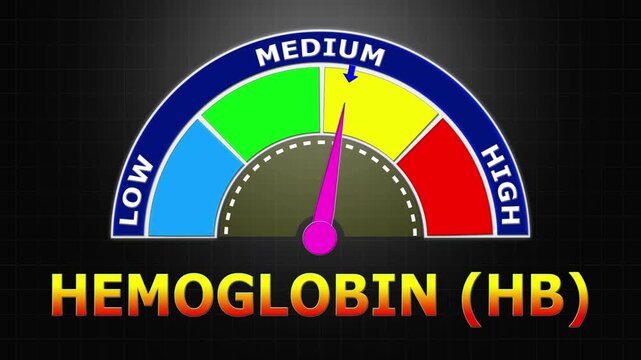 4K Animated Hemoglobin (Hb) Level Meter Increasing from Low to High Levels , Monitoring Oxygen Transport and Anemia Risk.