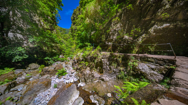 Levada do Caldeirao Verde, Parque Forestal Das Queimadas, Madeira, Portugal, Europe