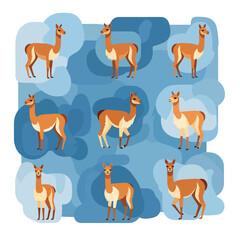 Obraz premium Herd of Llamas in Clouds