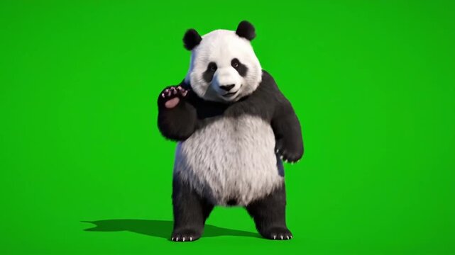 Panda dances happily on a green background while showing playful moves to the audience during a fun moment