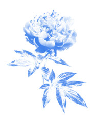 Fototapeta premium Vintage Halftone Peony Flower. Blue Cyanotype Style Dithered Botanical Bloom collage scrapbook element. Vector Illustration.