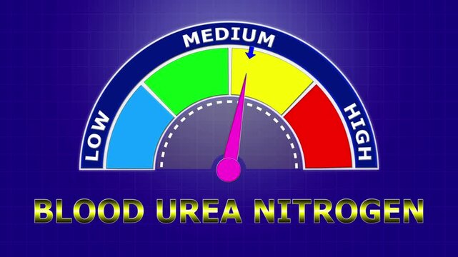 4K Animated Blood Urea Nitrogen (BUN) Level Meter Increasing from Low to High Levels , Assessing Kidney Function and Metabolic Health.