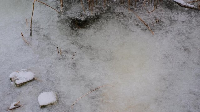 Serene winter scene of a frozen lake with thin ice layers, bubbles beneath, dry reeds emerging, snow patches on edges, and subtle melting areas. Tranquil icy wetland landscape.