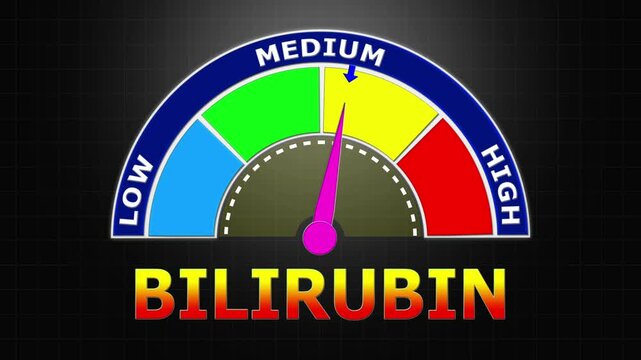 4K Animated Bilirubin Level Meter Increasing from Low to High Levels , Assessing Liver Function and Jaundice Risk through Pigment Levels.