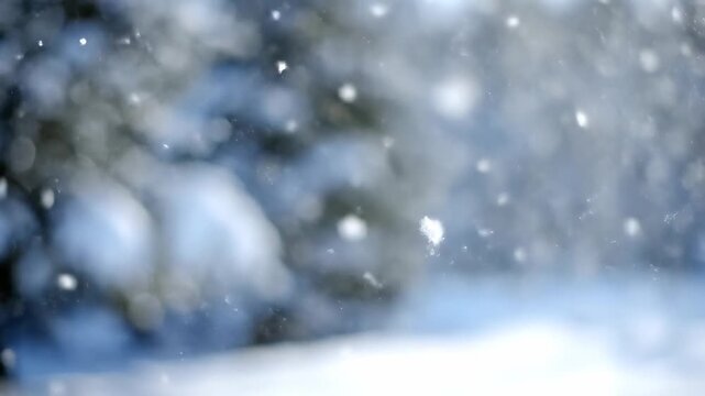 Close-up of soft falling snowflakes against a blurred winter forest background with cool blue tones