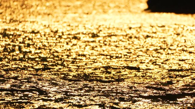 Golden water sunset reflections ocean surface shimmer serene peaceful liquid texture backdrop