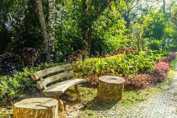 Concrete bench and tree stump stools positioned in lush tropical garden with green foliage and sunlight, outdoor public park landscaping.